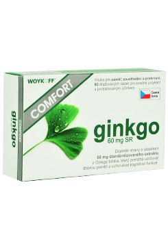 Ginkgo COMFORT SR 60mg 60tbl