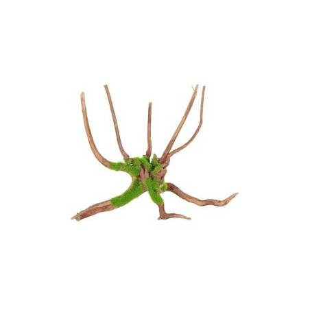 Akvarijní dekorace Kipouss Pavoučí kořen M Zolux